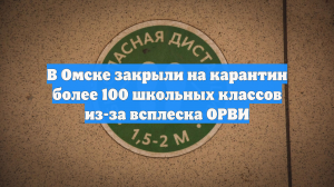 В Омске закрыли на карантин более 100 школьных классов из-за всплеска ОРВИ