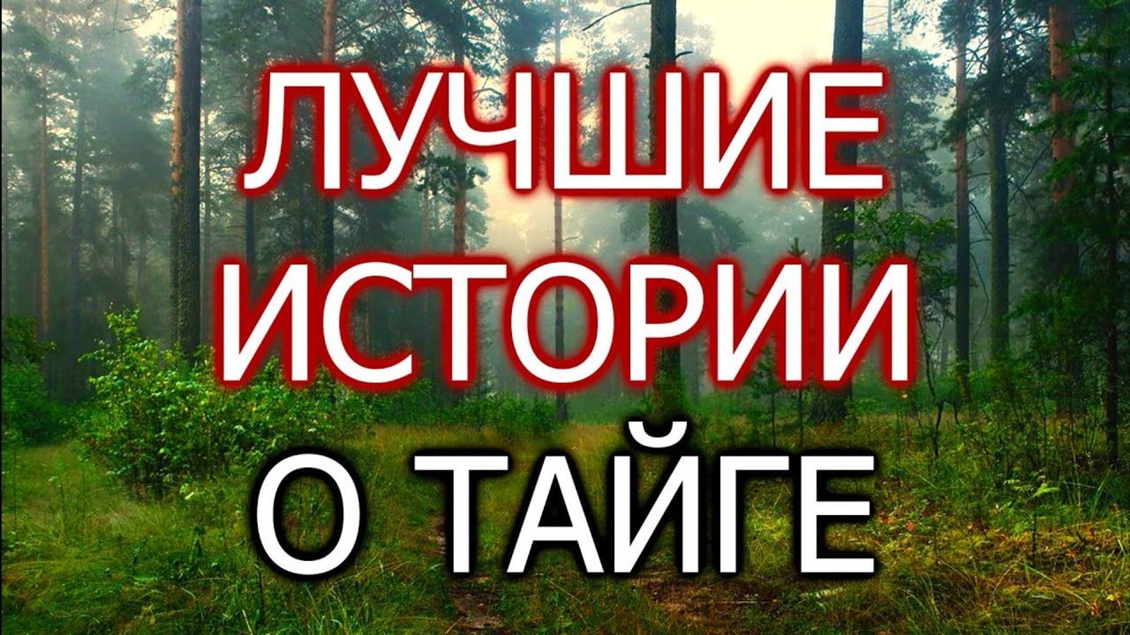 Мистика.  Таежные истории.