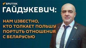 Гайдукевич: нам известно, кто толкает Польшу портить отношения с Беларусью