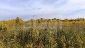 9823642 ТСН Крым