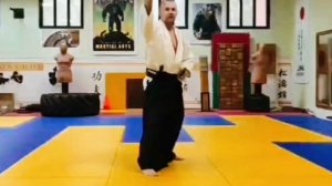 Быстрая катана