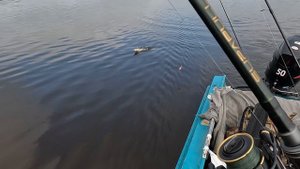 Супер рыбалка на северных реках. День второй, щука прёт Ч.3