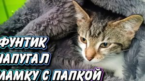 Фунтик напугал мамку с папкой.