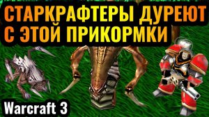 WARCRAFT 3 Refoged_ЭТА ДИЧЬ РАБОТАЕТ_ Starcraft стиль игры в Warcraft 3 Reforged