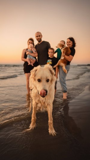 Справится ли мальчик с алабаем?Занятия по дрессировке алабая