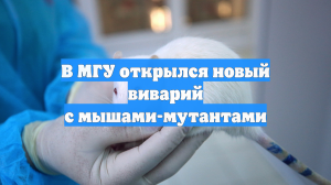 В МГУ открылся новый виварий с мышами-мутантами