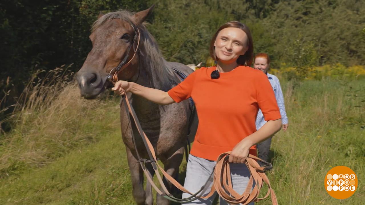 Покатай меня, лошадка! Без седла... Доброе утро. Фрагмент выпуска от 17.09.2025