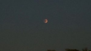 Луное заитмение