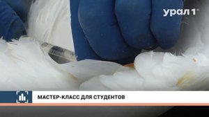 Школа зооволонтёров "ЭкоПрактикум"