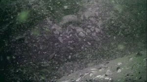 1000001411.mp4Волга гл.5м.17.09.2025г.