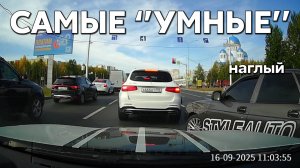 Подборка САМЫХ "УМНЫХ" водителей #1176