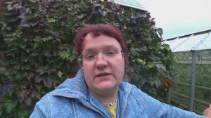 Подготовка к посадке чеснока