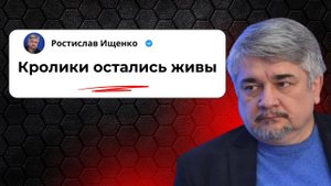 Кролики остались живы