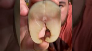 Посол скумбрии .