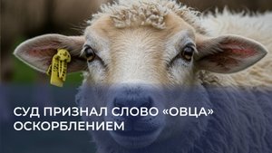Суд признал слово «овца» оскорблением