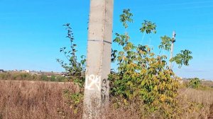 КРАСИВАЯ ПРИРОДА