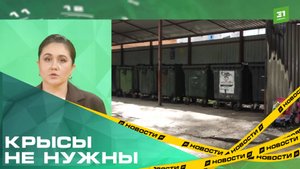 Крысам тут не место. Чиновники проверят законность переноса мусорки, где развелось полчище грызунов