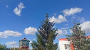 1000004333.mp4 Небо на станции