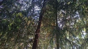 Осень,после дождя,Урал... Я ВКонтакте: vk.com/id387584421