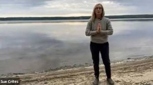 YT02-80 Цигун на каждый день с инструктором Sue Crites. Цигун Весеннего Леса (Chunyi Lin)