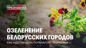 Зеленый пульс Беларуси|Как города преображаются в оазисы комфорта и экологии.На контроле Президента