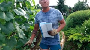 Гектор опять подкинул работы. (2021 г.)