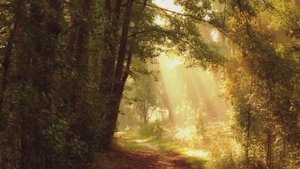 Полет музыка релакс,автор Олег Сапегин