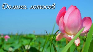 21.07.2012 Долина Лотосов. Краснодарский край