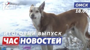 Борьба с агрессивными дворнягами / Завершается ремонт дорог / Ложное минирование. Новости Омска
