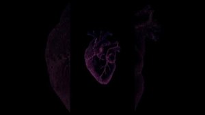 [The secret track]-|Slowed+reverb]-SKEIZ/CHERNOBYL