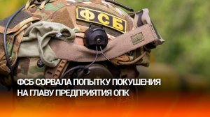 Переодетый в бабушку агент Киева готовил теракт в Петербурге: детали задержания
