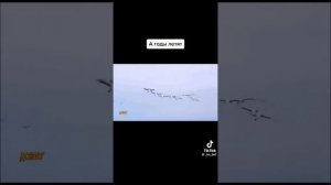 А годы летят клип