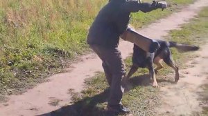 ИПР. МУР Классик, лобовая атака.