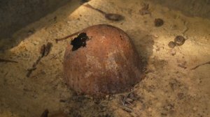 Анна Волуйко | ТОЧКА.РФ – ПОБЕДА 80 | г. Старый Оскол