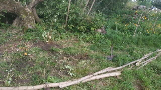 Создаем новую клумбу