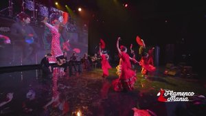 Испанское шоу фламенко от "FlamencoMania"