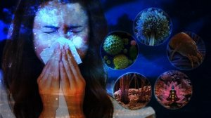 Сайт Гаряев-Матрицы.РФ Сентябрь-2025 CDАвгуст 2025 Матрица Гаряев-оригинальная-protiv-allergii-progr