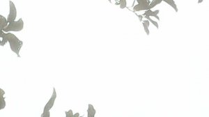 Работа высоким плодосъёмником (фрагмент)