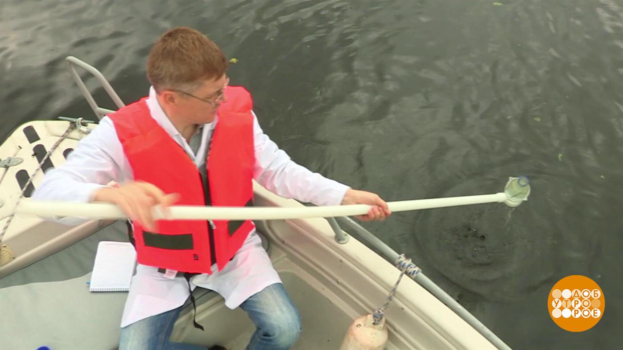 Вода должна быть чистой! Доброе утро. Фрагмент выпуска от 18.09.2025