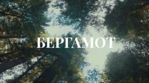 Парфюм "Бестия" аромат свободы