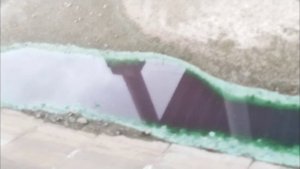 цветущая под цвет малахита вода🏞️