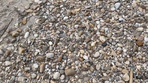 2025.02.16 - зимний Дунай с байдарочниками