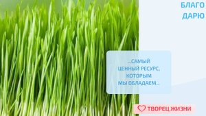Благодарю за возможность творить в каждом моменте своей жизни 12.08.2024