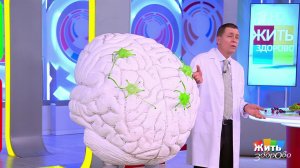 Рецепты с мозгами. Жить здорово! Фрагмент выпуска от 18.09.2025