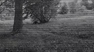 Мой самый страшный выпуск часть 2