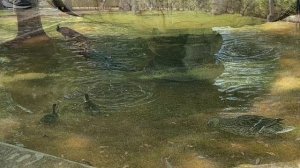 2025.06 - путешествие по Испании. Мадрид, Гранада, Севилья, Кадиз