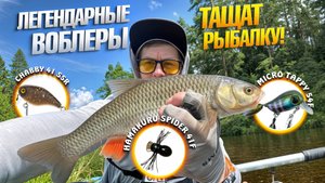 Белый хищник атакует воблеры | Рыбалка на малой реке в сплаве | Финишный день | Часть 3
