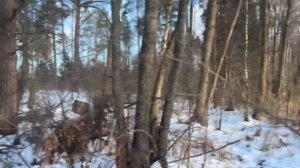 Путешествие и гонки на мотобуксировщиках. Самоё массовое за все наше время