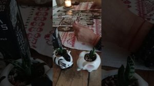 РОССИЯ. Таро прогноз для России на осень 2025