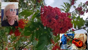 ПРЕМЬЕРА ПЕСНИ "В чужих объятиях" на стихи "Бабье лето" Валерия Д.